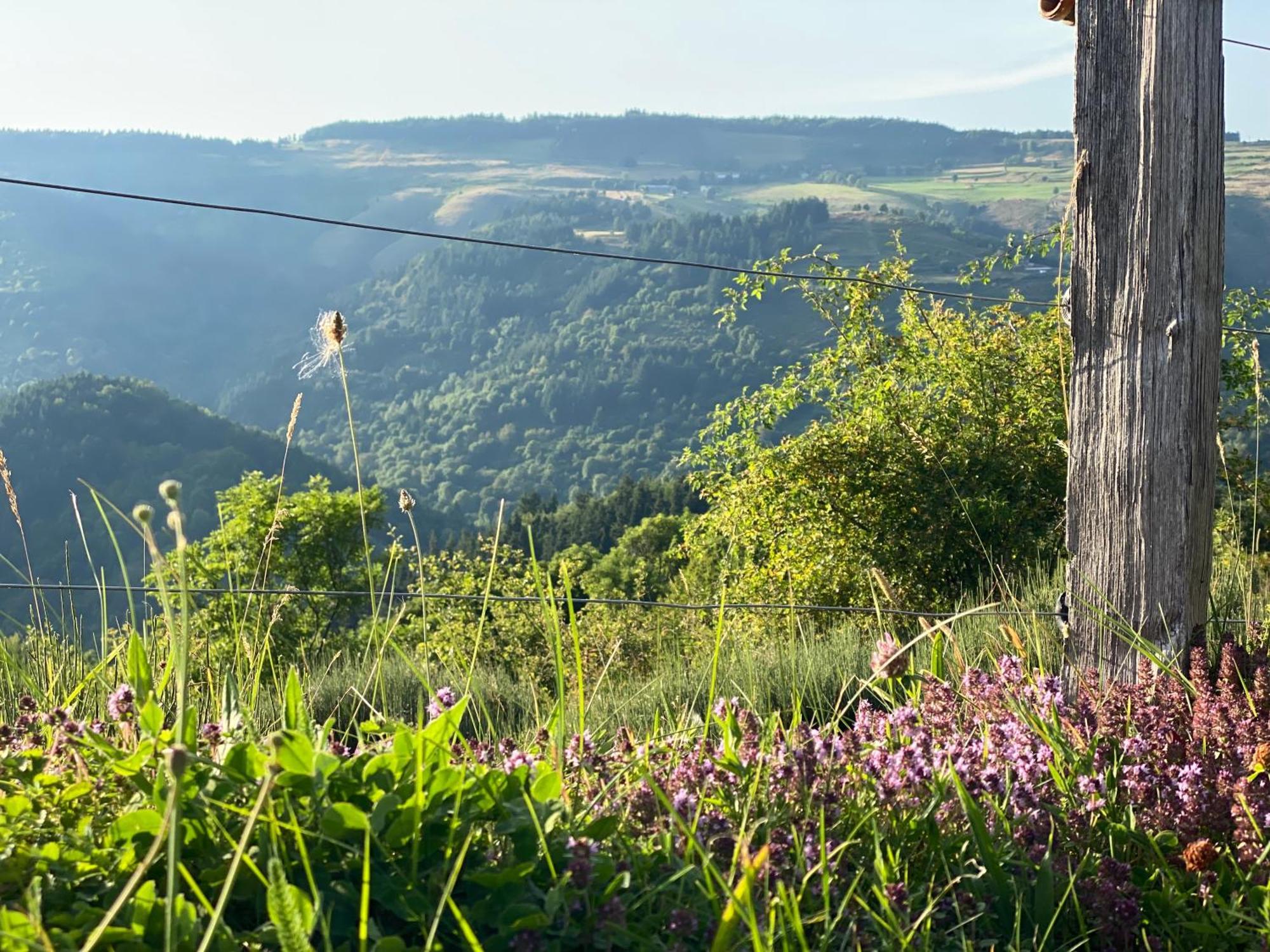 Tiny House De Tempoyrac Villa La Rochette  Luaran gambar