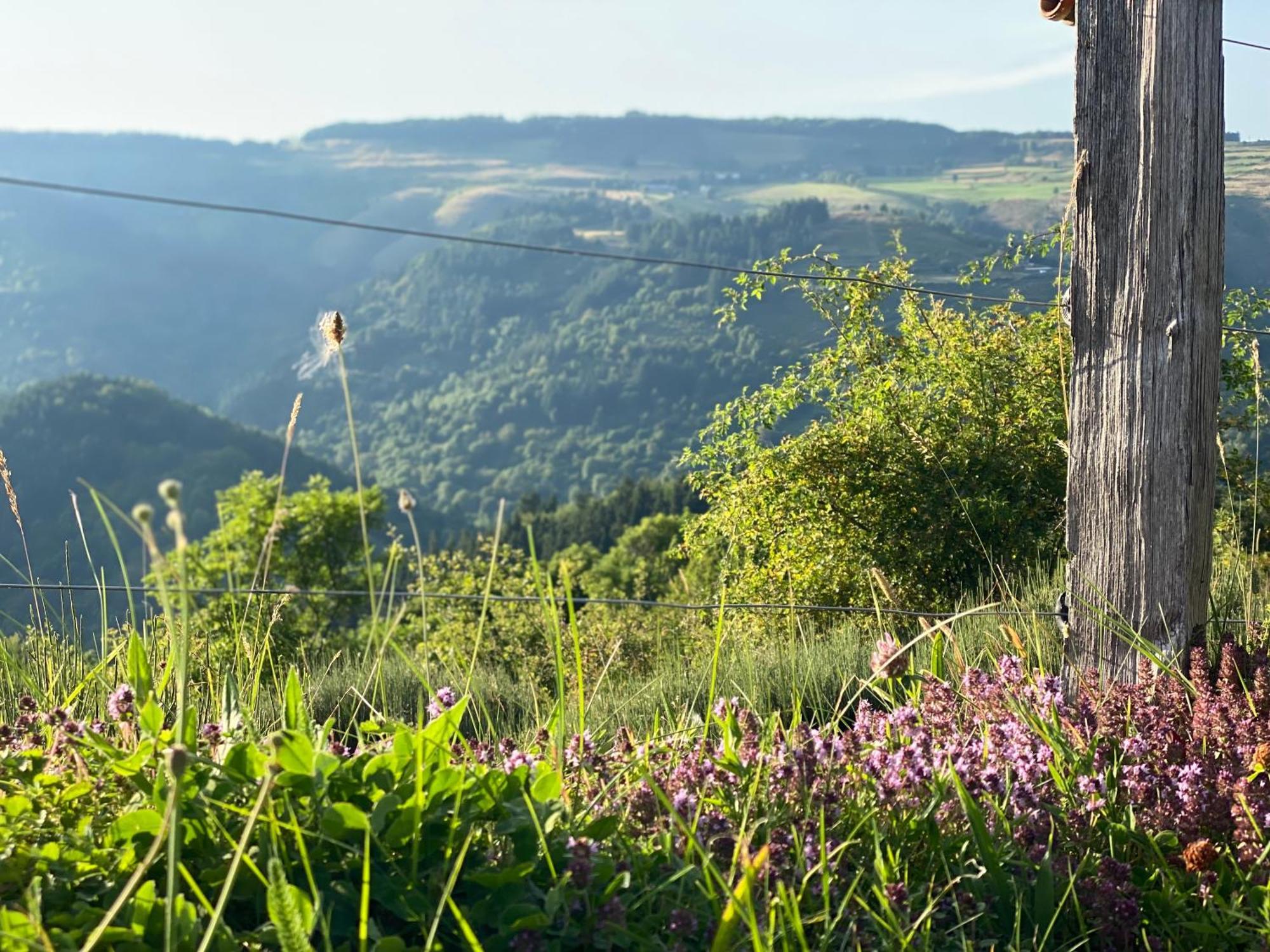 Tiny House De Tempoyrac Villa La Rochette  Luaran gambar